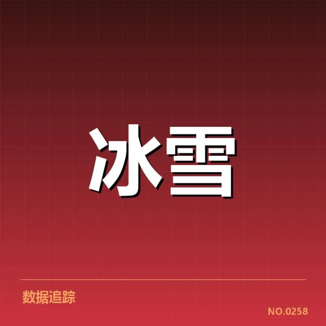 主要运动员表现与成绩确认